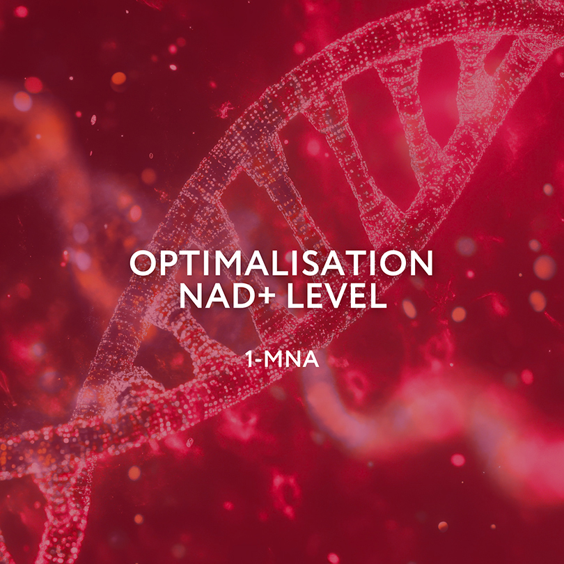 Endotelio Life Synergy - Image 3