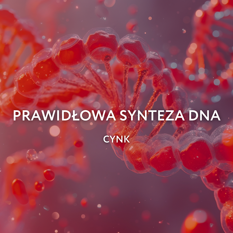 Endotelio Life Synergy - obrazek 6